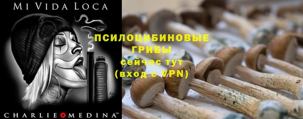 экстази Богородск