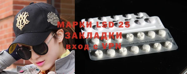 стаф Богданович