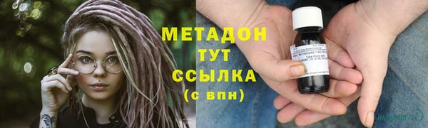 стаф Богданович