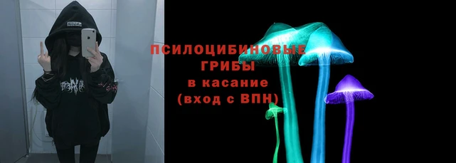 экстази Богородск