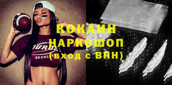 стаф Богданович
