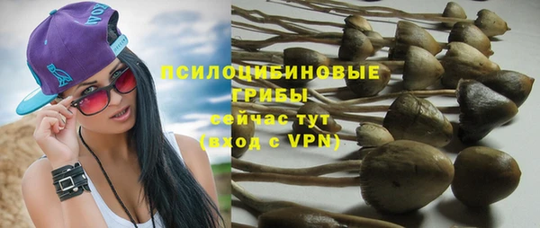 экстази Богородск