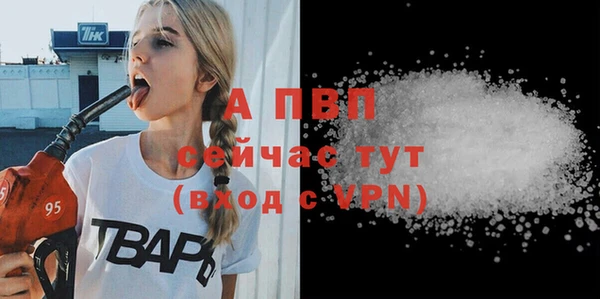 стаф Богданович