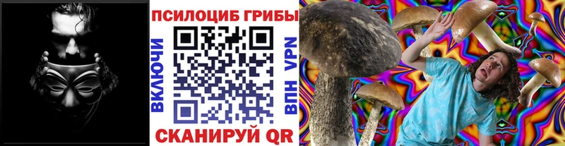 Псилоцибиновые грибы Psilocybe  где можно купить   Киреевск 